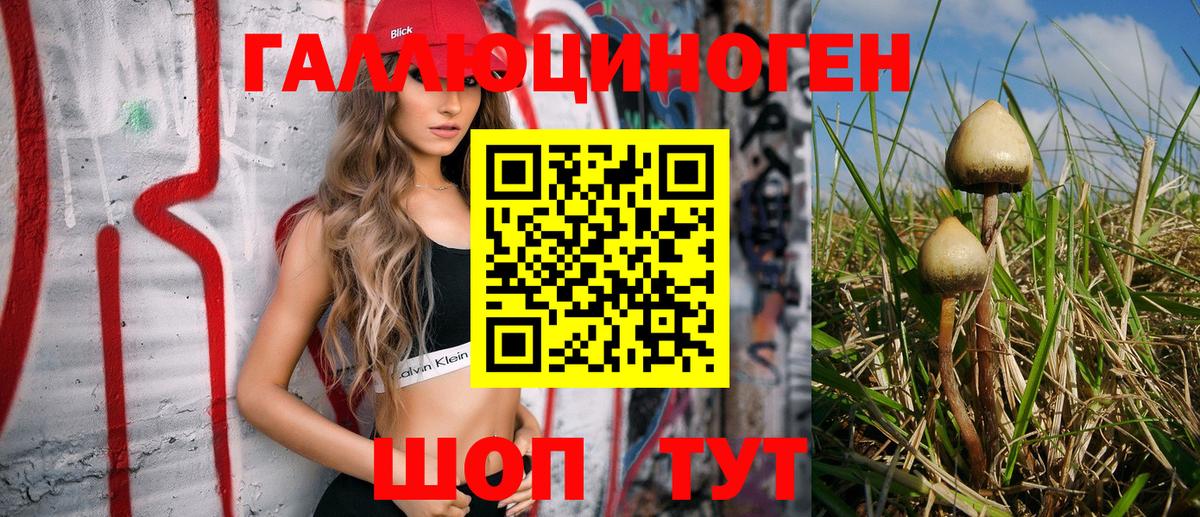 Кубинка  Галлюциногенные грибы MAGIC MUSHROOMS  Вход с VPN 
